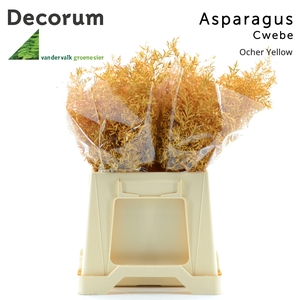 Asp cwebe Ocher yellow
