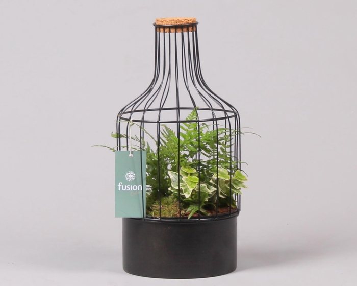 <h4>Fles metaal zwart Small met Arrangement</h4>