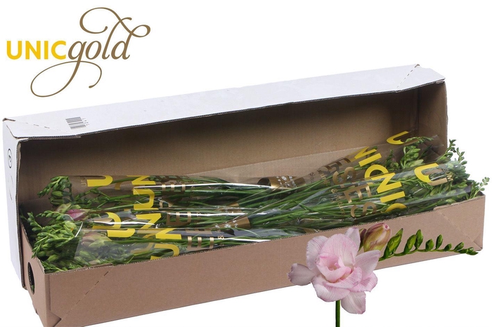 <h4>UG Barendse - Honeymoon 5x20 box</h4>