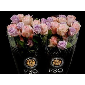 R Gr Seasons Lavander Mix