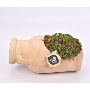 Tunesische kruik 25cm