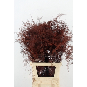 Asp IT L.Getopt Bordeaux