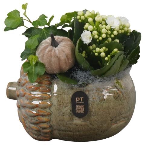 <h4>PTHI3269 Arrangement Autumn Indoor in keramiek pot in noot vorm</h4>