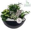 CH005 Eyleen Black