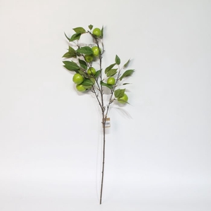 STEM APPLE GRANNY L95W15H14 green