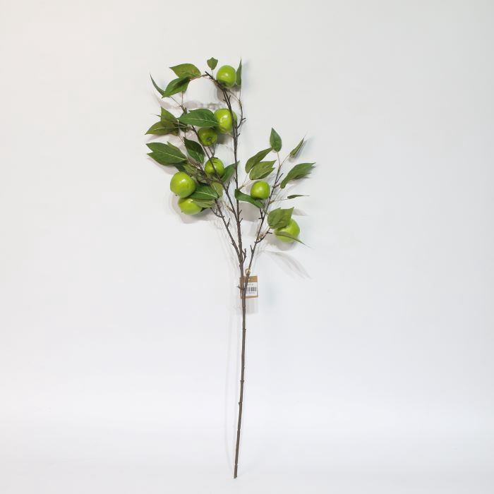 <h4>STEM APPLE GRANNY L95W15H14 green</h4>