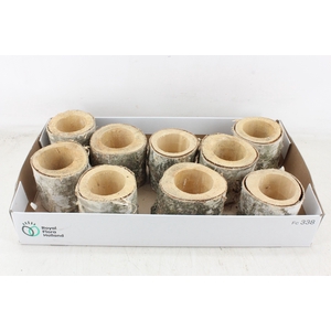 arr3 TM - Schors pot x9