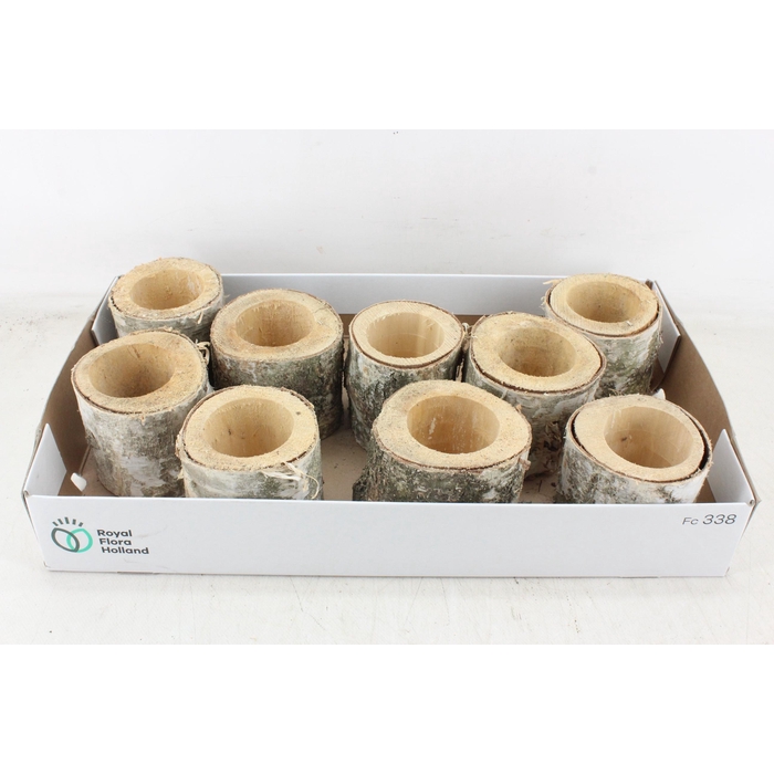 <h4>Arr3 Tm - Schors Pot X9</h4>