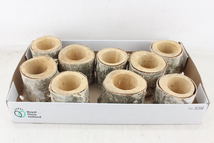 <h4>arr3 TM - Schors pot x9</h4>