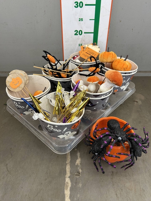 <h4>.DIV HALLOWIEN BIJSTEKER</h4>