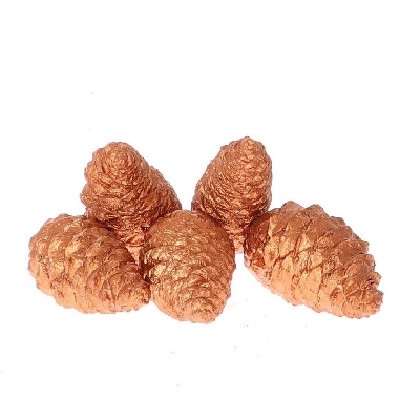 <h4>Dennenappels Maritima wax closed 12cm x5</h4>