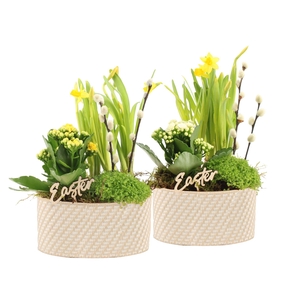 70799: Easter arrangement