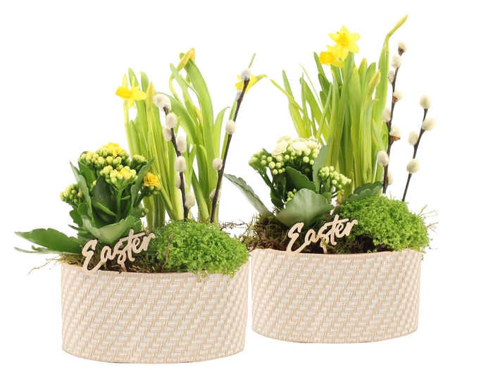 <h4>70799: Easter arrangement</h4>