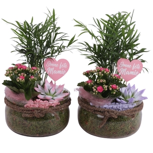 Grandmothers Day Arr. Indoor Glass Bowl with Rope Ø20cm 3PP