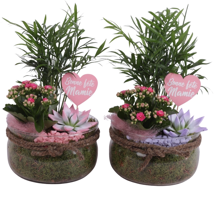 <h4>Grandmothers Day Arr. Indoor Glass Bowl with Rope Ø20cm 3PP</h4>