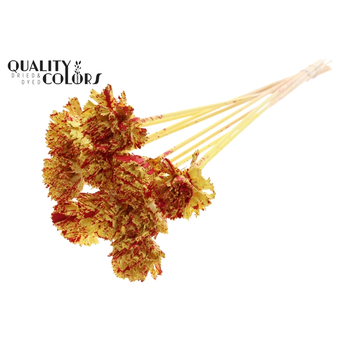 <h4>Shola Karnish Flower 6cm on stem Splashed Yellow/Red</h4>