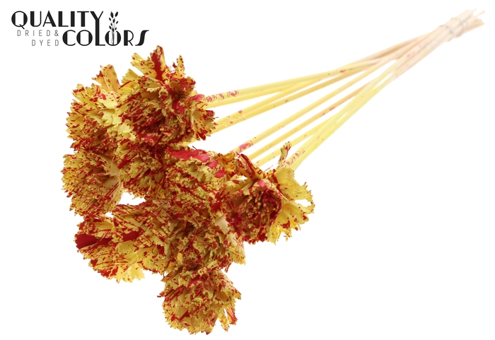 Shola Karnish Flower 6cm on stem Splashed Yellow/Red