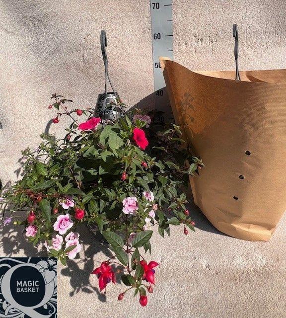 <h4>OVERIGE HANGPLANTEN</h4>