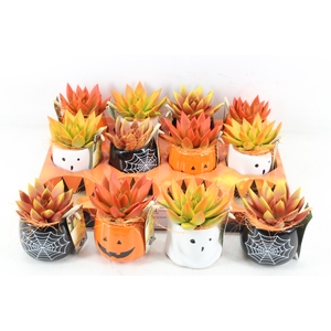 arr2 JS - Ker halloween mix ech. oranje