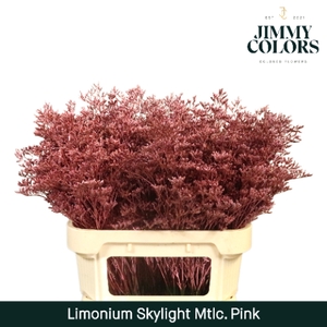 Limonium Skylight L80 Mtlc. Pink