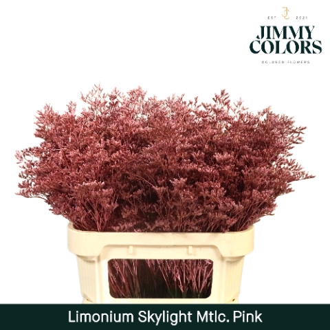 <h4>Limonium Skylight L80 Mtlc. Pink</h4>