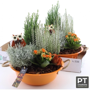 ARR TUINPLANTEN
