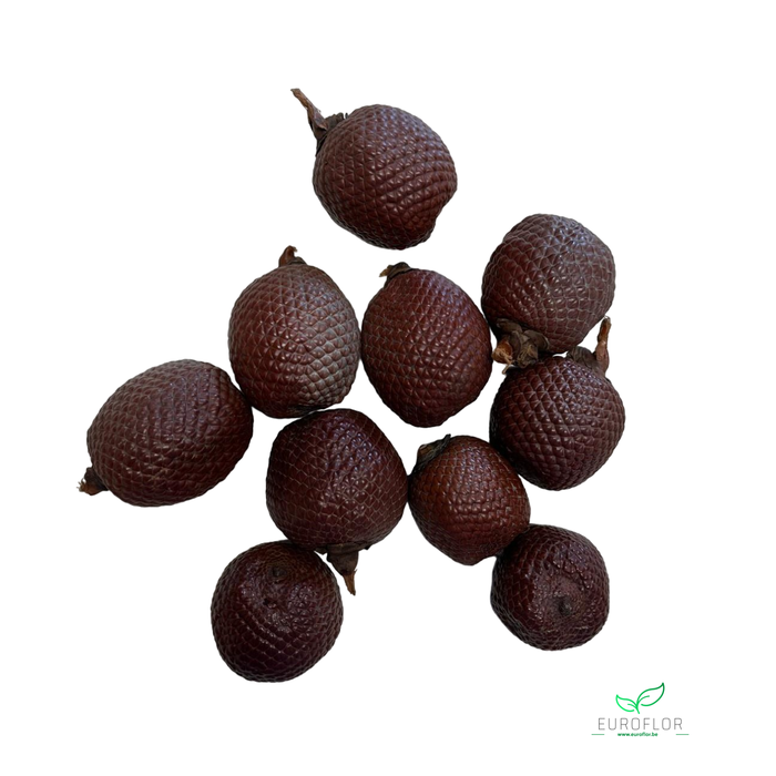 <h4>LARANJA 10pcs</h4>