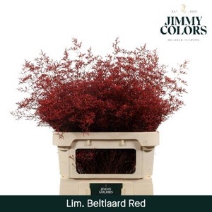 Lim Bel L90 Red