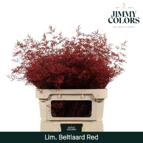 <h4>Lim Bel L90 Red</h4>