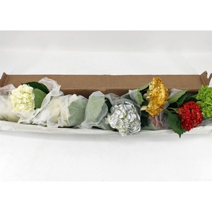 Hydr M Christmas Mixed