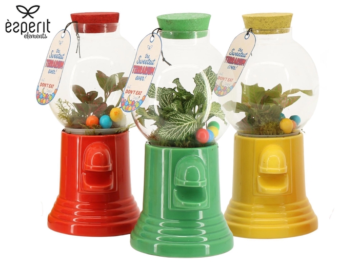 <h4>90896: Terrarium arrangement</h4>