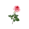 Rosa Pink