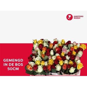 R Gr Mix In Bunch A2 Kneppers