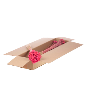 Botao Sb Pink