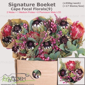 PROTEA PER BOS