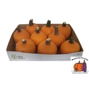 CUC HALLOWEEN