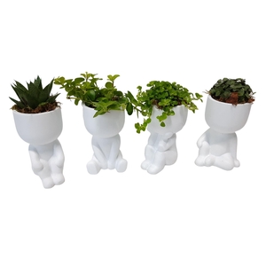 Arr. Kamerplant Groen L%