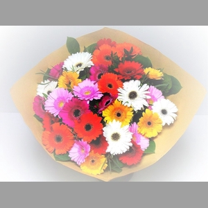 Bouquet Germini Mixed