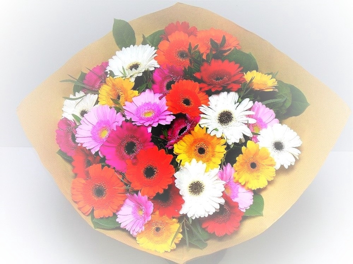 Bouquet Germini Mixed