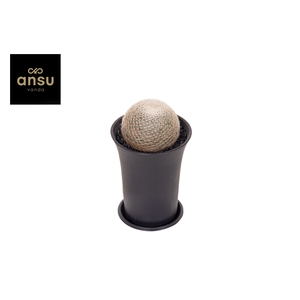 Mammillaria Lenta XL