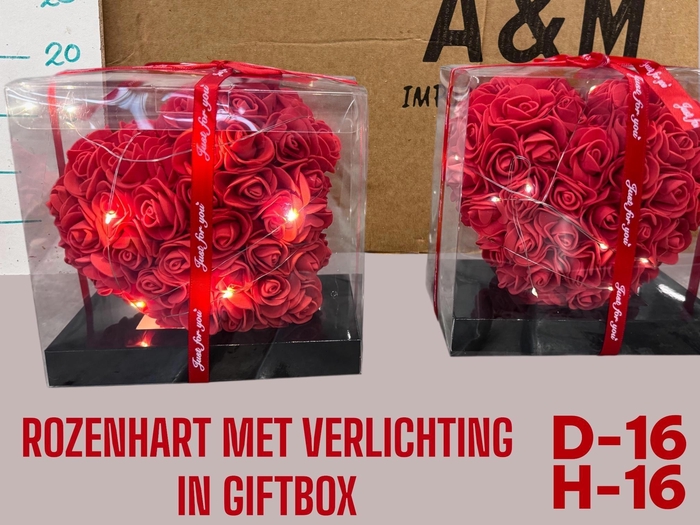 <h4>HUIS EN TUINDECO H%</h4>