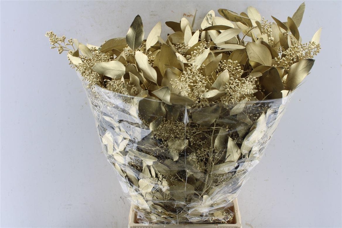 <h4>Euca Populus Berry Metal Gold</h4>