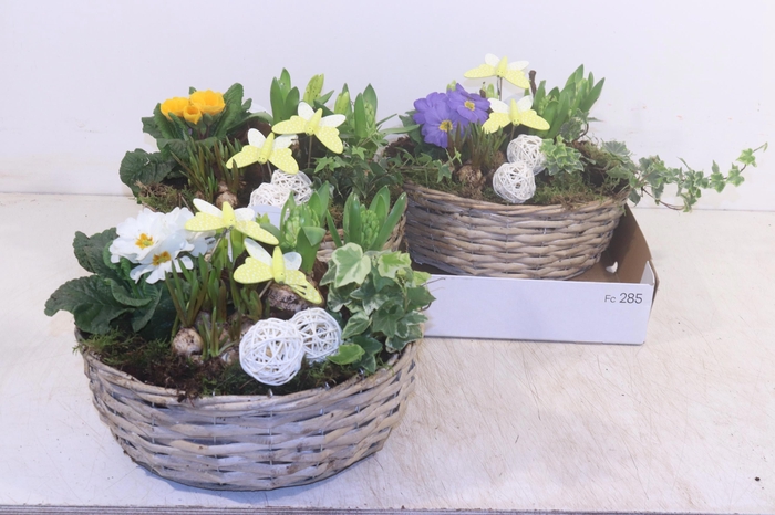 <h4>ARR PL IN SCHAAL</h4>