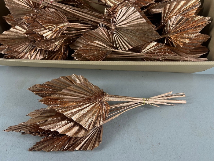 <h4>DF Palm Spear Med Copper</h4>
