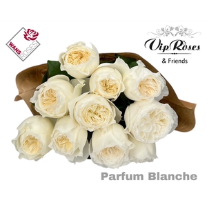 R GR PARFUM BLANCHE!
