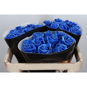 Wax-Rozen Wax Blauw w5