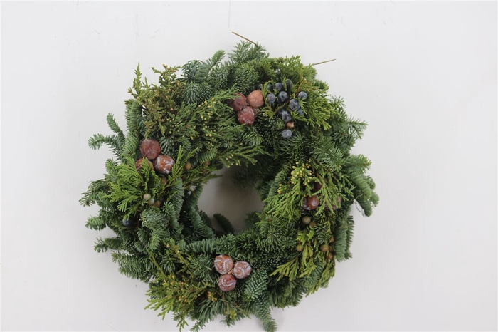 <h4>Wr Advent Nobilis 30cm</h4>