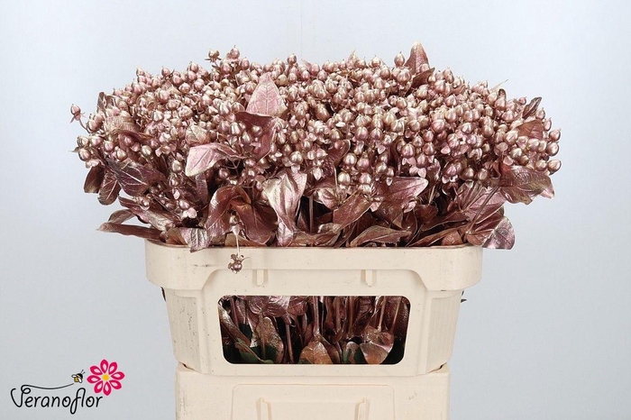 <h4>HYP OV KLB H%</h4>