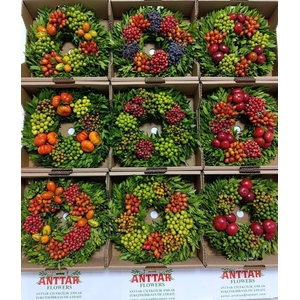 Wr Sierfruit 30cm (anttar)