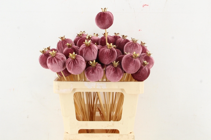 <h4>Stick Pomegranate V.6cm Pink</h4>